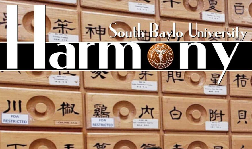 SBU Newsletter Fall 2020