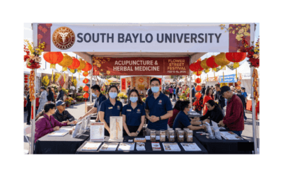 2026 Lunar New Year Flower Street Festival